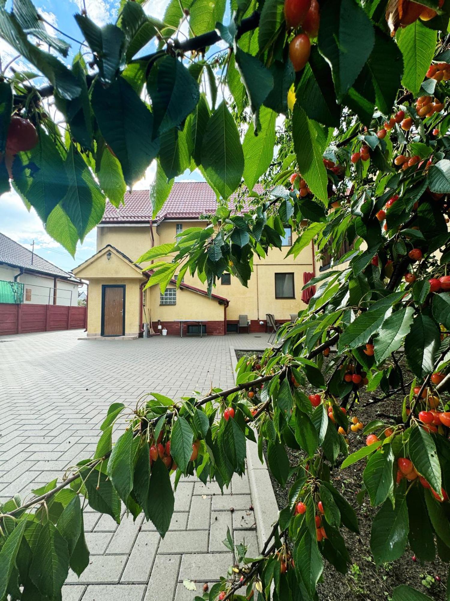 Carpathian Newstar Hotel Sibiu Exterior foto