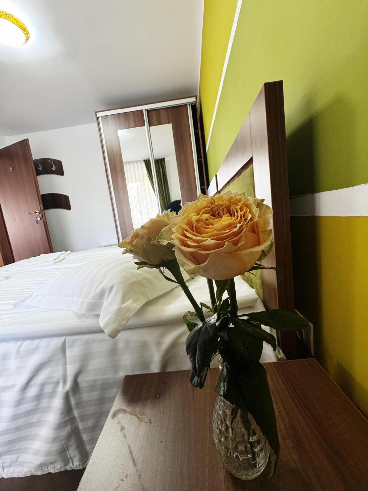 Carpathian Newstar Hotel Sibiu Exterior foto